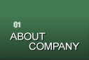 About Company